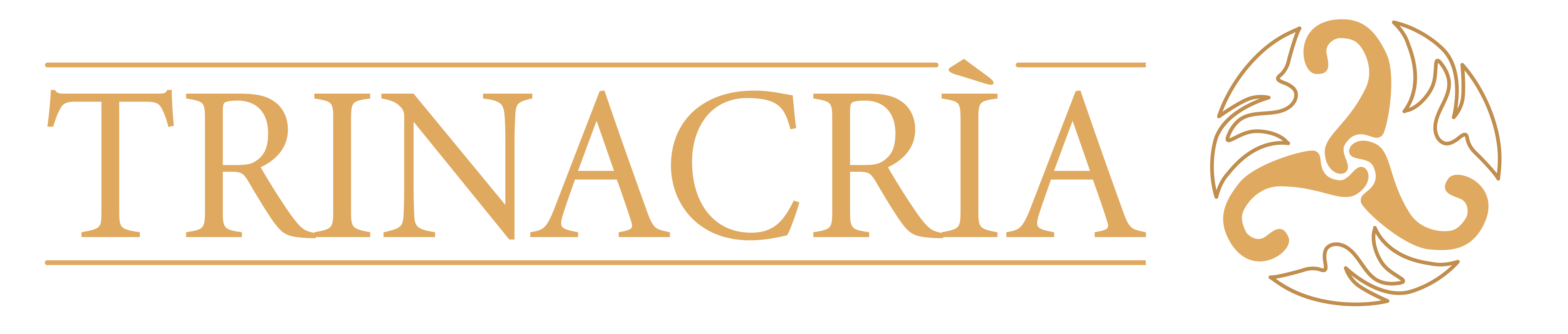 logo_Trinacra